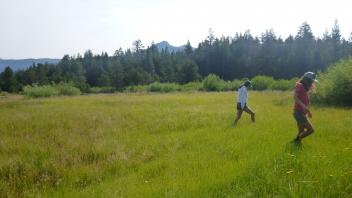 Top of Meadow