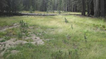 Top of Meadow