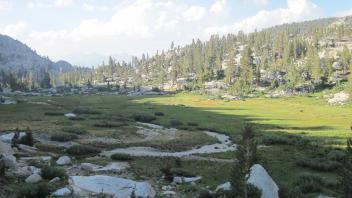 Top of Meadow