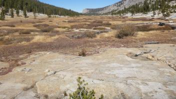 Top of Meadow