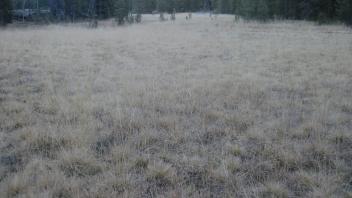 Top of Meadow