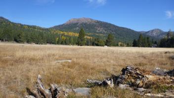 Top of Meadow