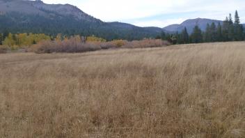 Top of lower section of meadow
