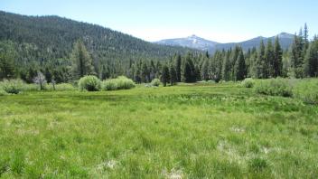 Top of meadow looking down
