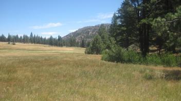 Top of meadow looking east
