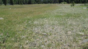 Top of meadow looking east