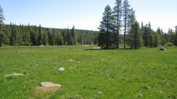Top of meadow looking east