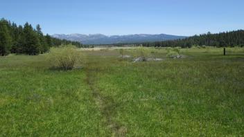 Top of meadow looking east