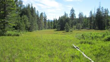 Top of meadow looking north