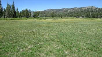 Top of meadow looking north