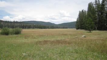 Top of meadow looking northeast