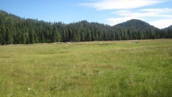 Top of meadow looking northeast