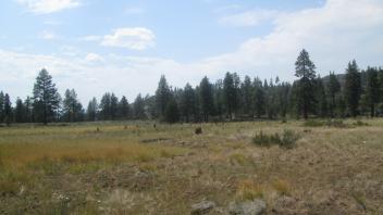 Top of meadow looking west