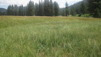 Top of meadow, inset floodplain