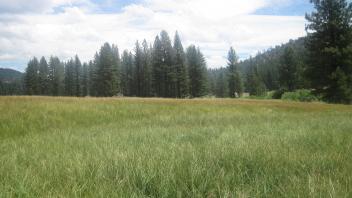 Top of meadow, inset floodplain