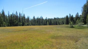 Top of meadow, second section, looking east