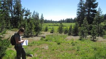 Top of meadow
