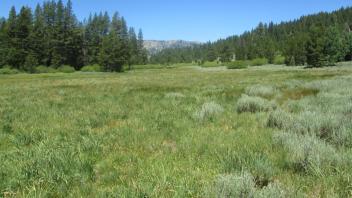 Top of meadow