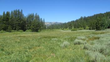 Top of meadow
