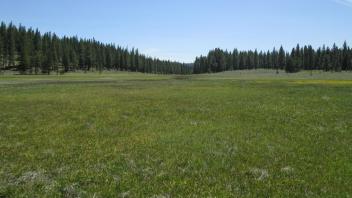 Top of meadow
