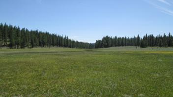 Top of meadow
