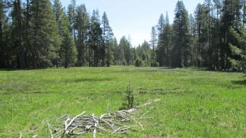 Top of meadow