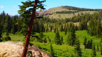 Top of meadow