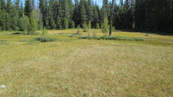 Top of meadow