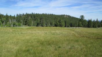 Top of meadow