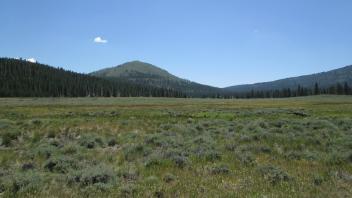 Top of meadow
