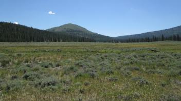 Top of meadow