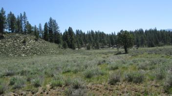 Top of meadow