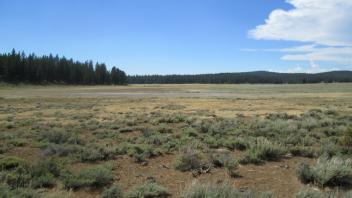 Top of south section of meadow