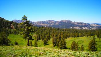 Top of the meadow