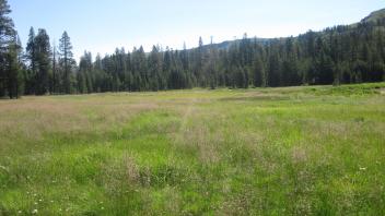 Top of upper meadow looking north