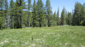 Top of upper meadow stringer