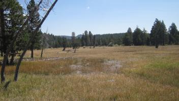 Top of western meadow section