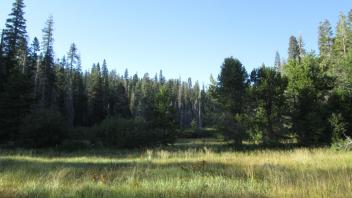 Toward Road at North Arm of Meadow