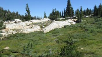 Transect 1 (left)