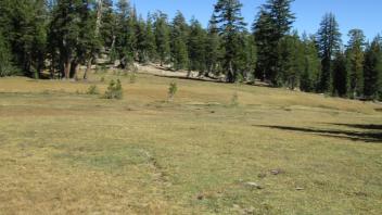 Transect 1 (right to left)