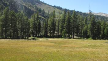 Transect 1 (right to left)