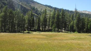 Transect 1 (right to left)