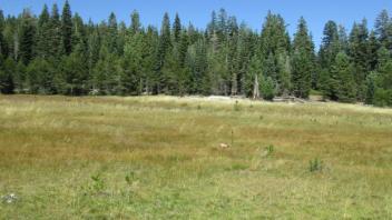 Transect 1 (right to left)