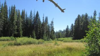 Transect 1 (right to left)