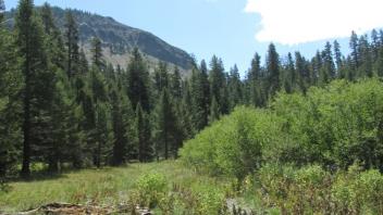 Transect 1 (right to left)