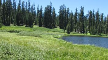 Transect 1 (right to left)