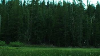 Transect 1 (right)