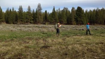 Transect 1 (river left)