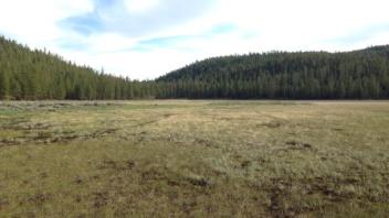 Transect 1 (upstream)