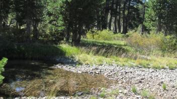 Transect 1 Bottom Channel Crossing (right to left)
